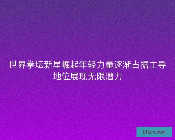世界拳坛新星崛起年轻力量逐渐占据主导地位展现无限潜力