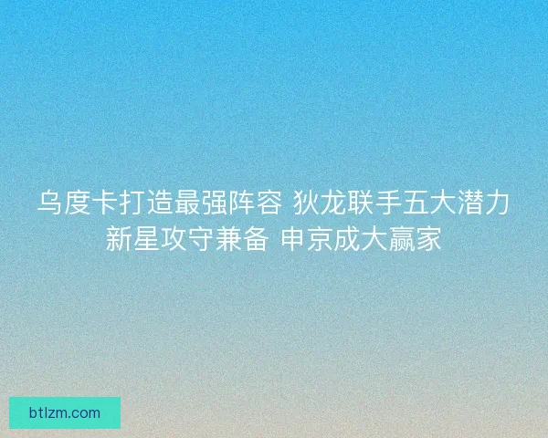 乌度卡打造最强阵容 狄龙联手五大潜力新星攻守兼备 申京成大赢家